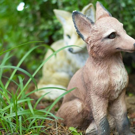 カリストガ フットヒル ハウス Bed & Breakfast エクステリア 写真