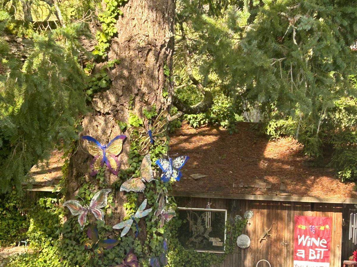 カリストガ フットヒル ハウス Bed & Breakfast エクステリア 写真